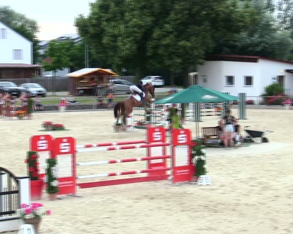 Reitturnier Ingolstadt-Hagau/Obb. 2025