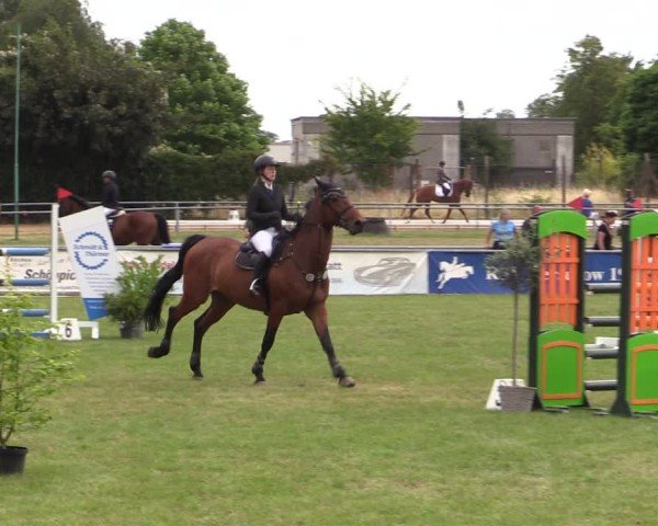 Reitturnier Dersekow 2025