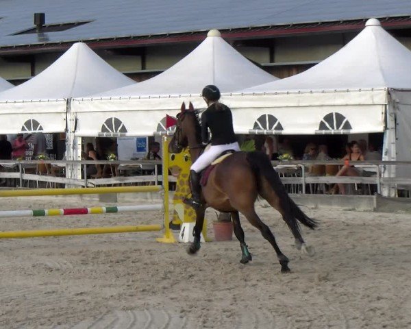 Reitturnier Balsthal 2025