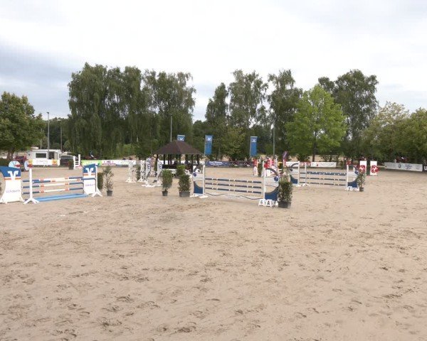 Reitturnier Münster-Roxel 2025