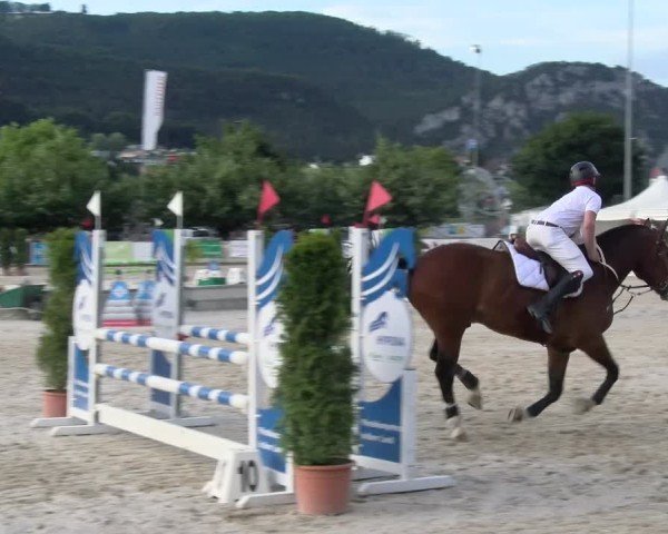 Reitturnier Balsthal 2025