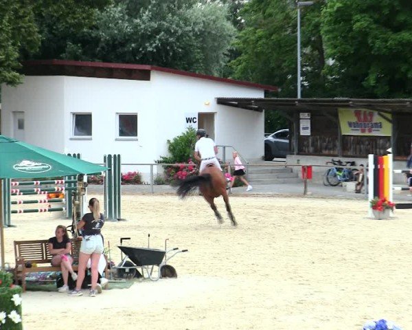 Reitturnier Ingolstadt-Hagau/Obb. 2025