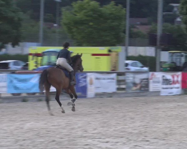 Reitturnier Balsthal 2025