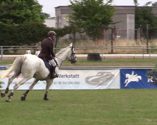 Reitturnier Dersekow 2025