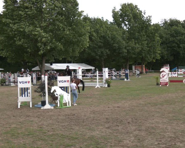 Reitturnier Wohlesbostel 2025