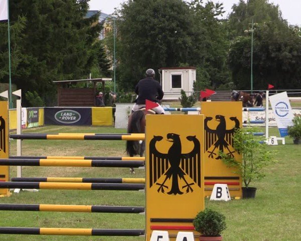Reitturnier Dersekow 2025
