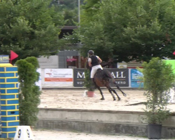 Reitturnier Balsthal 2025