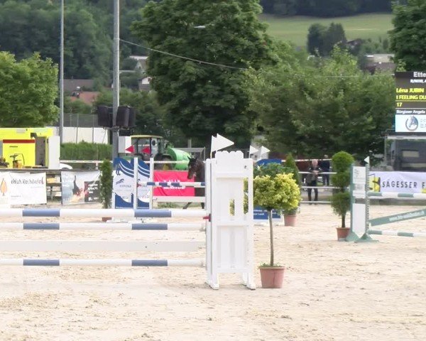 Reitturnier Balsthal 2025