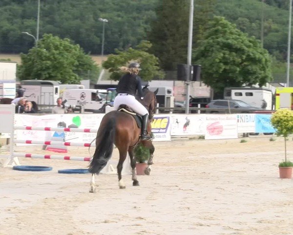Reitturnier Balsthal 2025