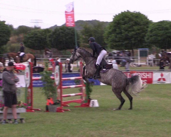 Reitturnier Dersekow 2025