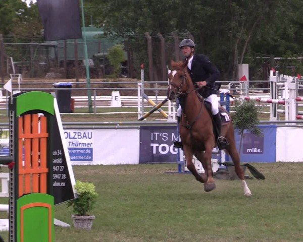 Reitturnier Dersekow 2025