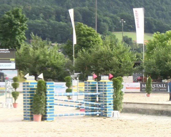 Reitturnier Balsthal 2025