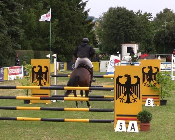 Reitturnier Dersekow 2025