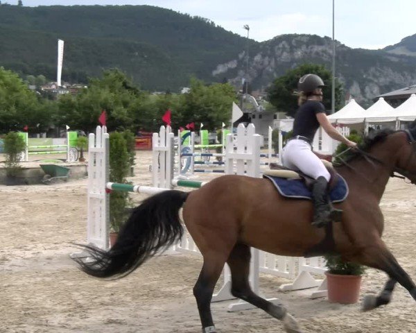 Reitturnier Balsthal 2025