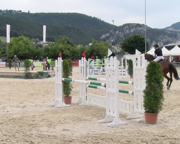 Reitturnier Balsthal 2025