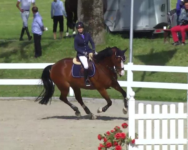 Springturnier Isny 2014