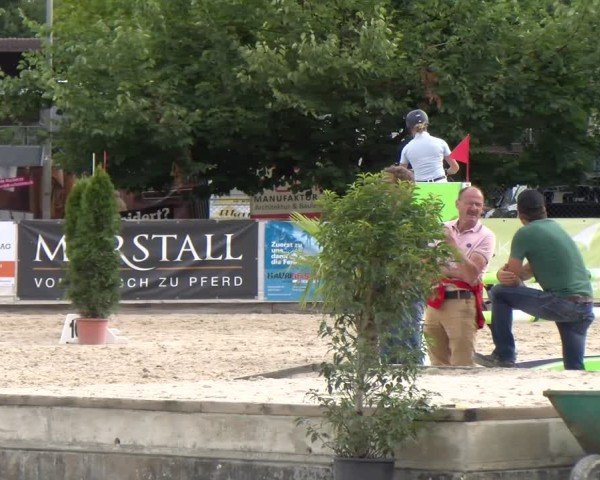 Reitturnier Balsthal 2025