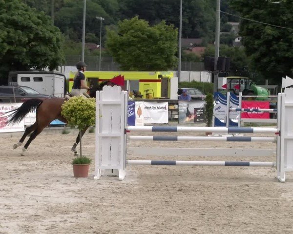 Reitturnier Balsthal 2025
