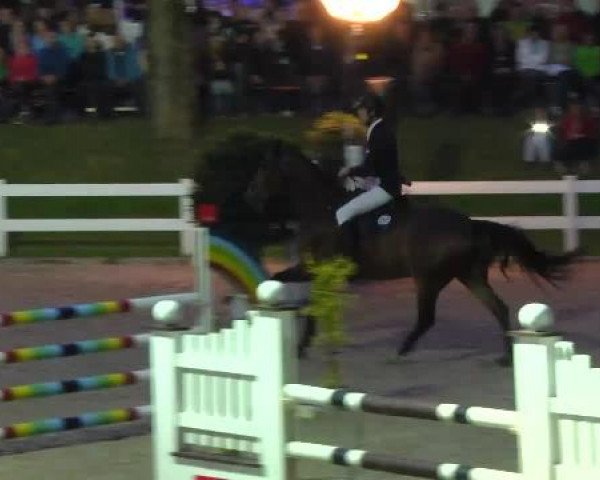 Springturnier Isny 2014