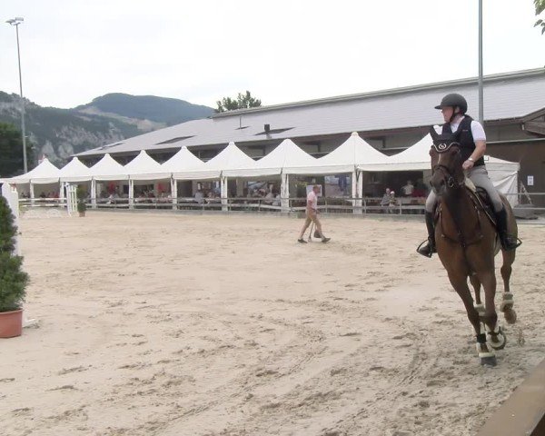 Reitturnier Balsthal 2025