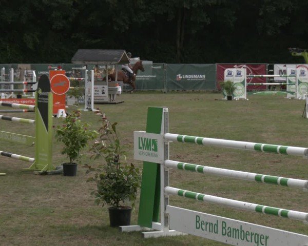 Reitturnier Wohlesbostel 2025