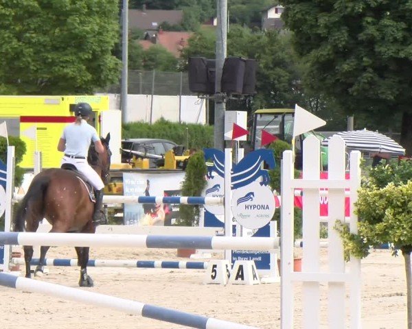 Reitturnier Balsthal 2025
