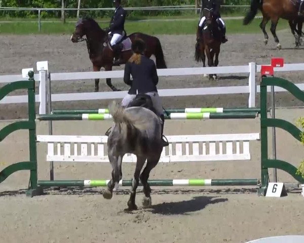 Springturnier Isny 2014