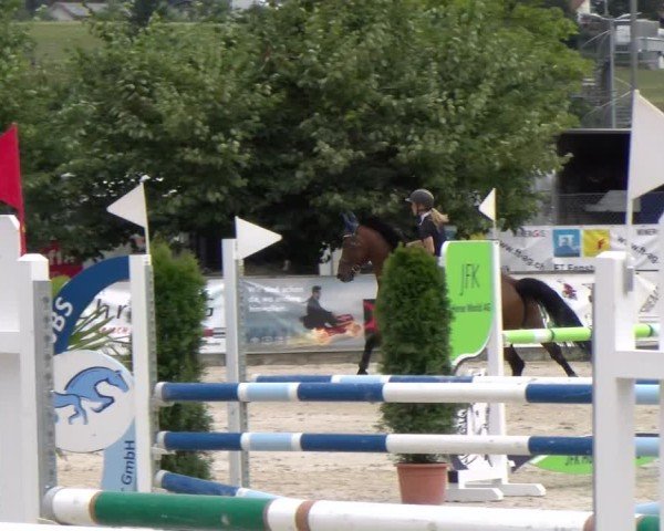 Reitturnier Balsthal 2025