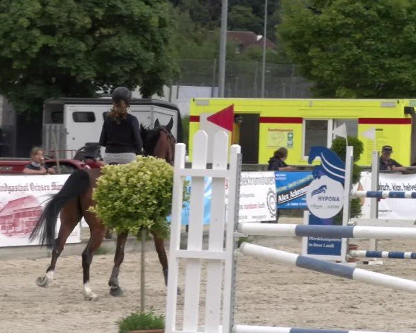 Reitturnier Balsthal 2025