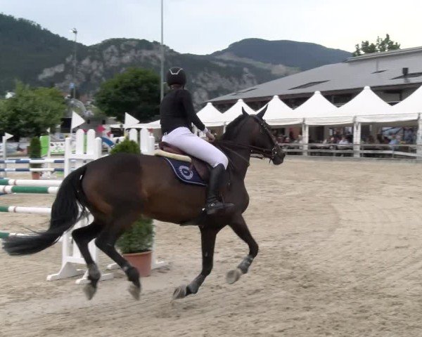 Reitturnier Balsthal 2025