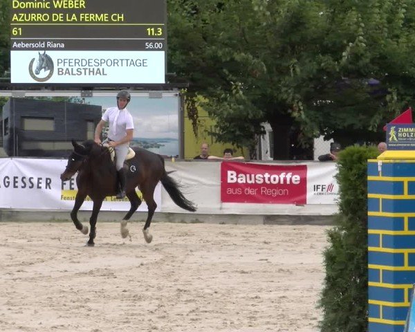 Reitturnier Balsthal 2025