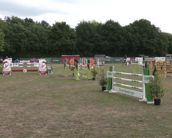 Reitturnier Wohlesbostel 2025