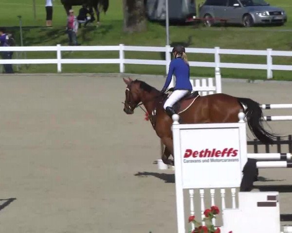 Springturnier Isny 2014
