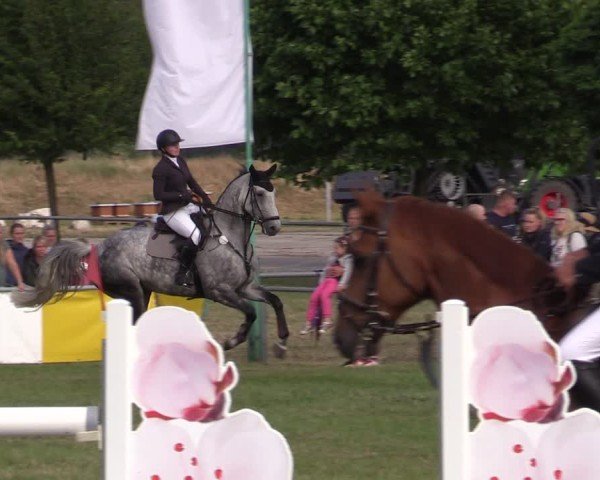 Reitturnier Dersekow 2025
