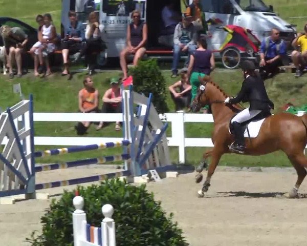 Springturnier Isny 2014