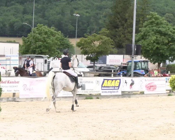 Reitturnier Balsthal 2025
