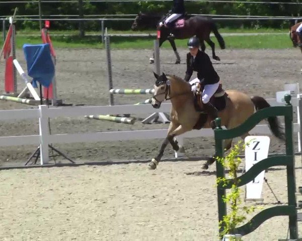 Springturnier Isny 2014