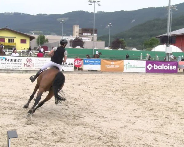 Reitturnier Balsthal 2025