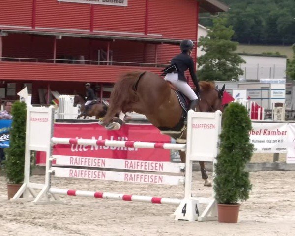 Reitturnier Balsthal 2025