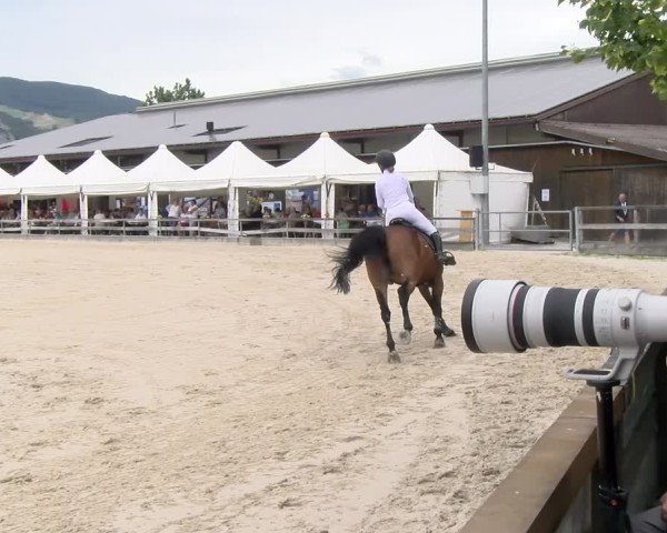 Reitturnier Balsthal 2025