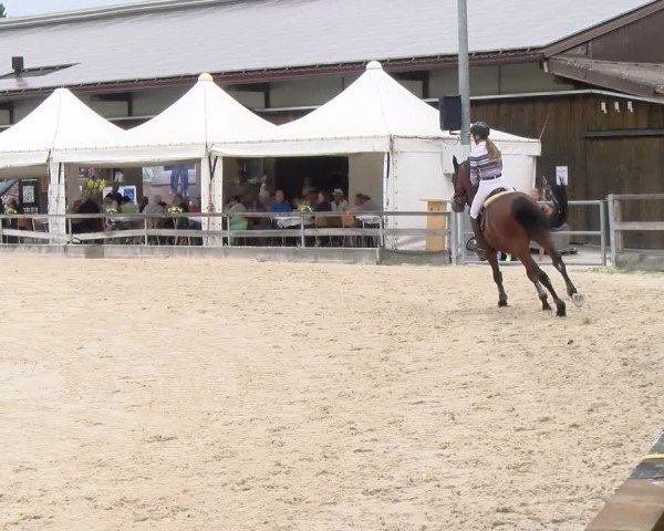 Reitturnier Balsthal 2025