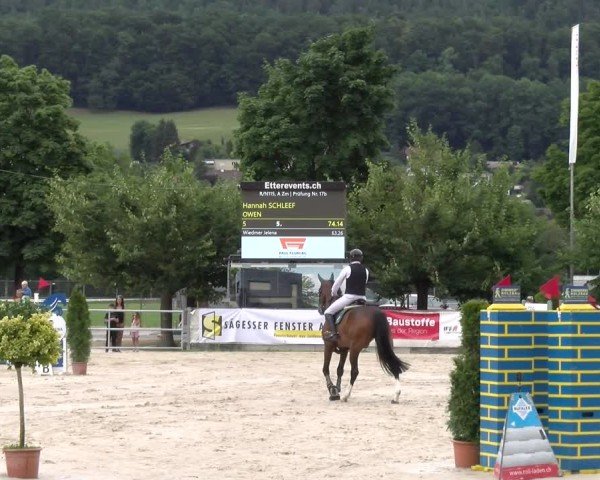 Reitturnier Balsthal 2025