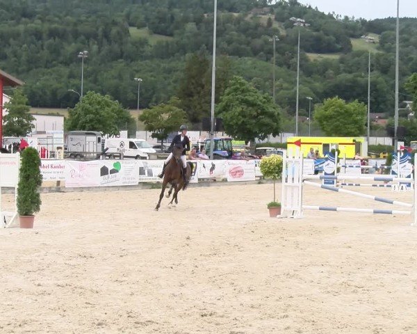 Reitturnier Balsthal 2025