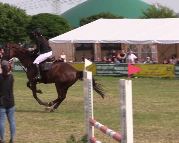 Reitturnier Dersekow 2025