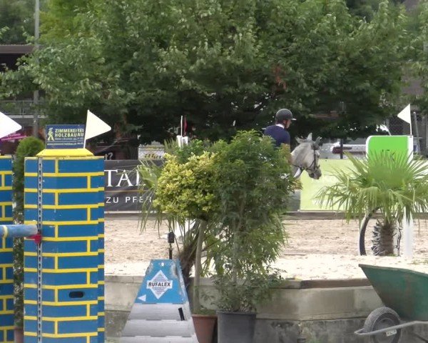 Reitturnier Balsthal 2025