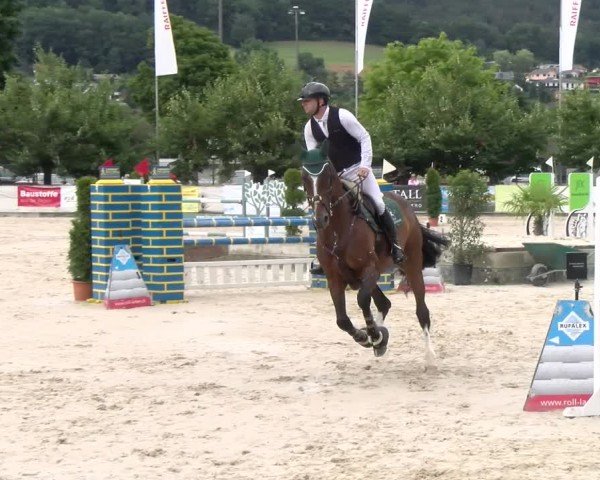 Reitturnier Balsthal 2025