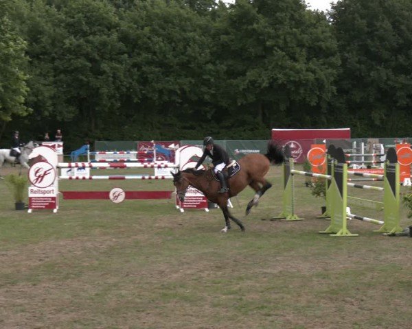 Reitturnier Wohlesbostel 2025