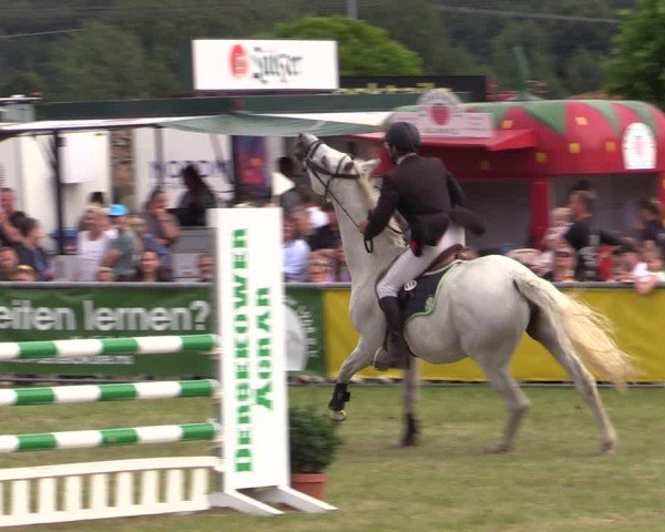 Reitturnier Dersekow 2025