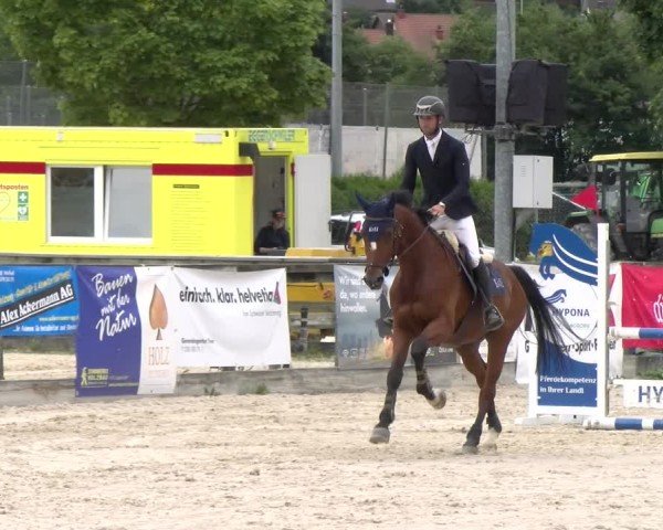 Reitturnier Balsthal 2025