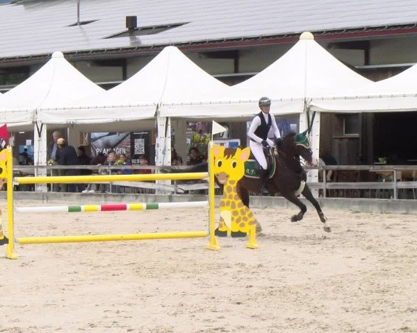 Reitturnier Balsthal 2025
